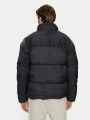 4f-kurtka-puchowa-4fwaw24tdjam485-czarny-regular-fit-000030394436SDF0.JPG