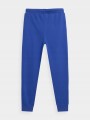 SPODNIE-DZIECIECE-DRESOWE-4F-TTROM131-JOGGERY-140-Kod-producenta-4FJSS23TTROM132-FRIKOMANIA.PL-4F-kobalt.jpg