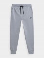 SPODNIE-DZIECIECE-DRESOWE-4F-TTROM131-JOGGERY-152-EAN-GTIN-5904698177042-FRIKOMANIA.PL-4F-jasny-niebieski.jpg