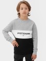 4FJAW23TSWSM630-27M-M-03-frikomania.pl-4f-bluza-chłopięca-szara.jpg