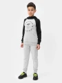 4FJSS23TSWSM221-frikomania.pl-4f-bluza-chłopięca-szara-bawełna.JPG